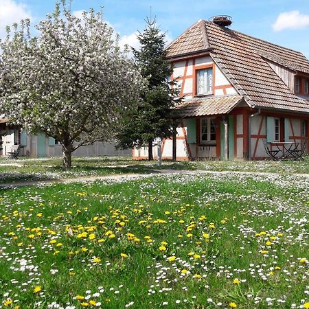 Les Loges De L'Ecomusee D'Alsace Ungersheim Exterior foto