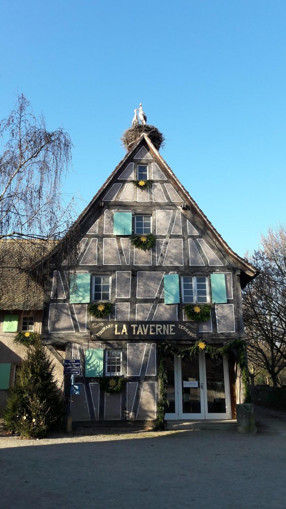 Les Loges De L'Ecomusee D'Alsace Ungersheim Exterior foto
