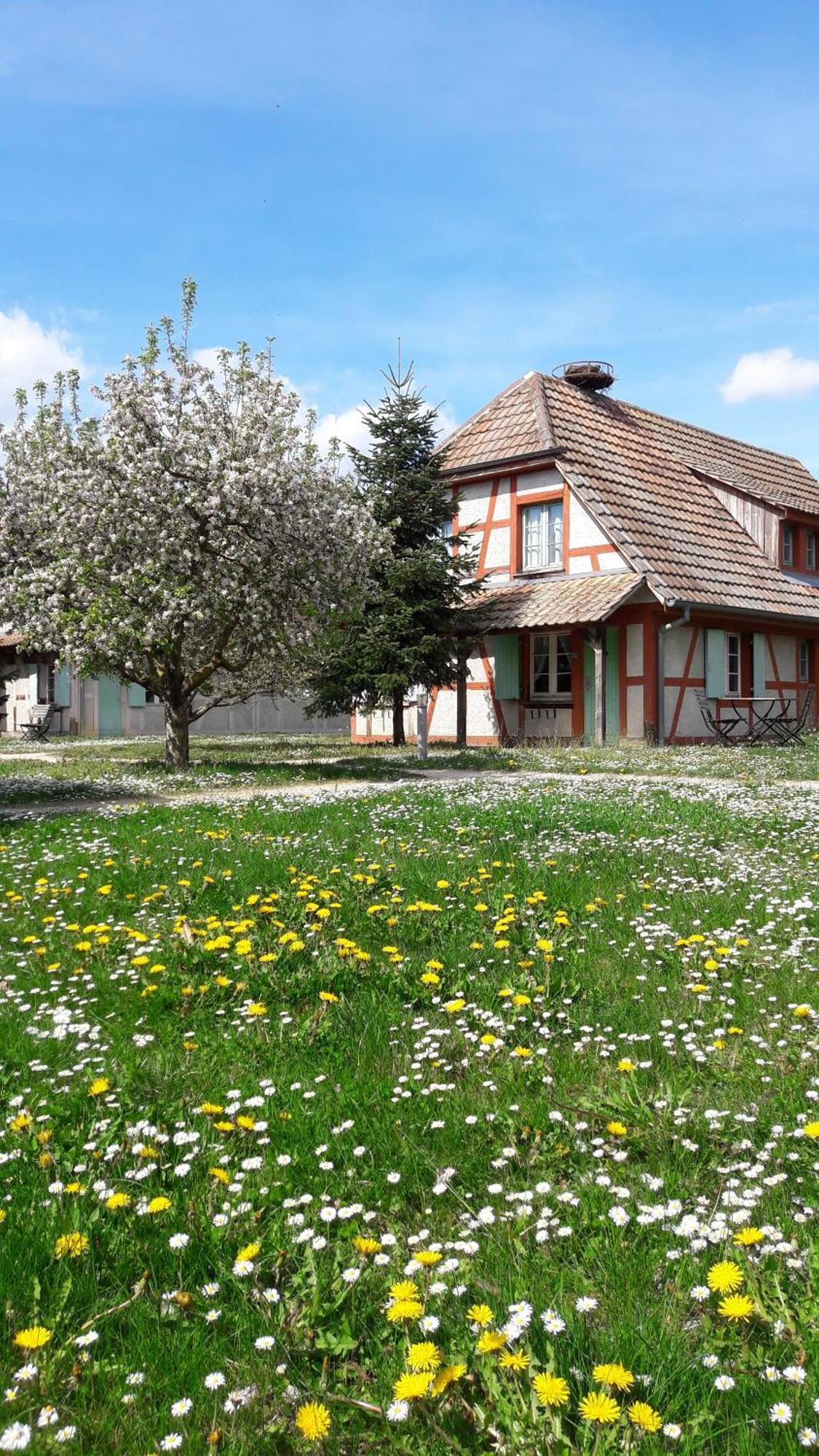 Les Loges De L'Ecomusee D'Alsace Ungersheim Exterior foto