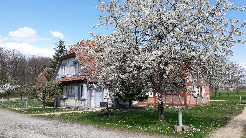 Les Loges De L'Ecomusee D'Alsace Ungersheim Exterior foto