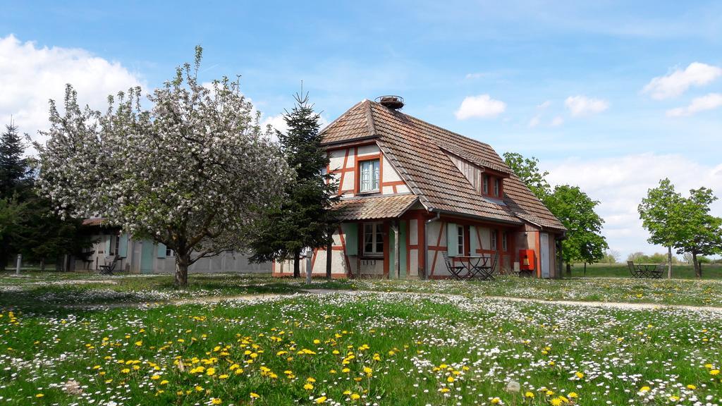 Les Loges De L'Ecomusee D'Alsace Ungersheim Exterior foto